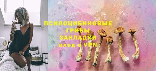 PSILOCYBIN Абинск