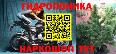 ПСИЛОЦИБИНОВЫЕ ГРИБЫ Новодвинск