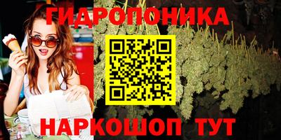 альфа пвп Новокубанск
