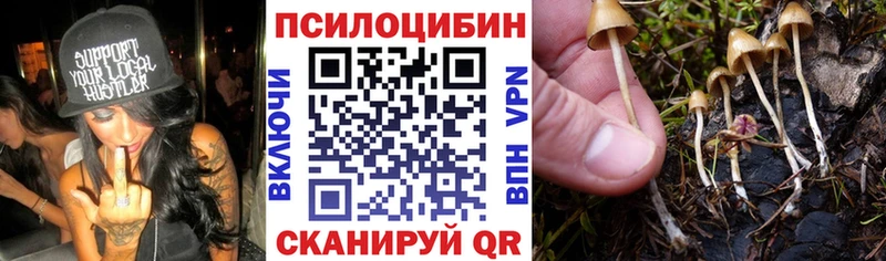 Псилоцибиновые грибы GOLDEN TEACHER  где продают   Чебоксары 