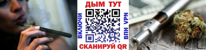 где можно купить   Чебоксары  Канабис ГИДРОПОН 